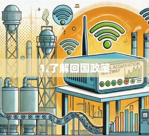 1.了解回国政策