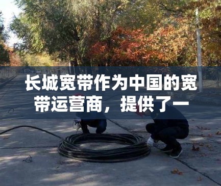 长城宽带作为中国的宽带运营商，提供了一定的网络加速服务，以下是关于长城宽带外网加速器的一些信息