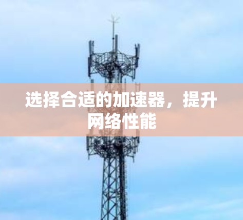 选择合适的加速器,提升网络性能