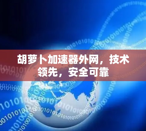 胡萝卜加速器外网，技术领先，安全可靠