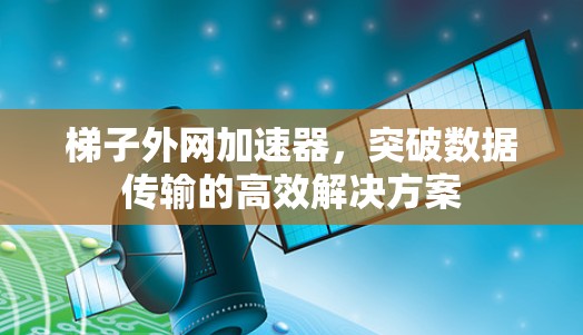 梯子外网加速器，突破数据传输的高效解决方案