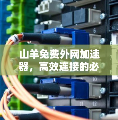 山羊免费外网加速器，高效连接的必备神器
