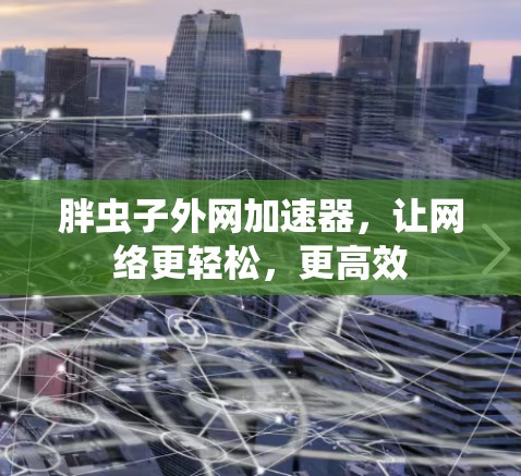 胖虫子外网加速器，让网络更轻松，更高效