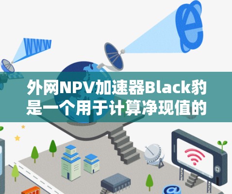 外网NPV加速器Black豹是一个用于计算净现值的在线工具，旨在提高NPV计算的效率和准确性。以下是关于Black豹的详细信息