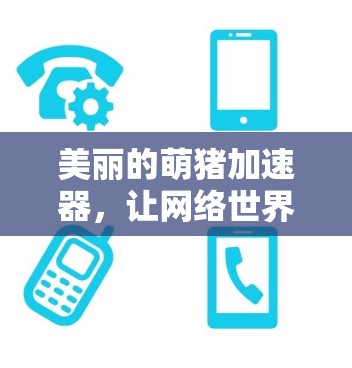 美丽的萌猪加速器，让网络世界充满趣味与效率