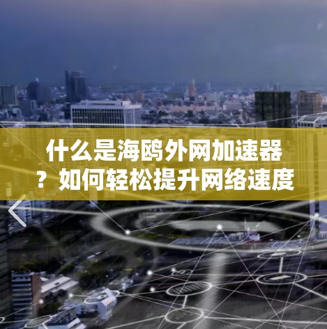 什么是海鸥外网加速器？如何轻松提升网络速度？