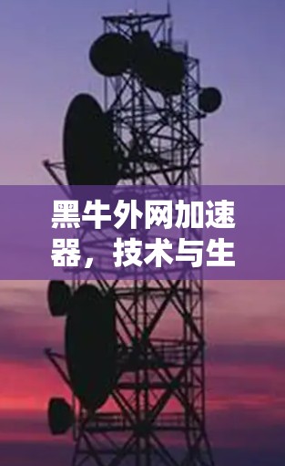 黑牛外网加速器，技术与生活的完美结合