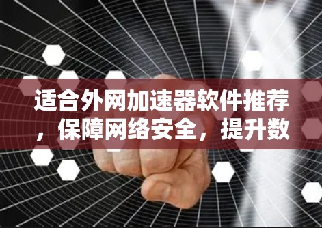 适合外网加速器软件推荐,保障网络安全,提升数据传输效率