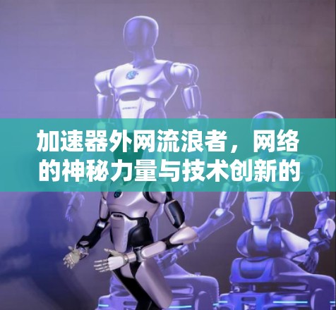 加速器外网流浪者,网络的神秘力量与技术创新的疯狂热身