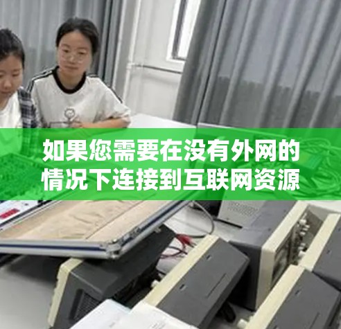 如果您需要在没有外网的情况下连接到互联网资源，可以尝试以下几种方法或工具