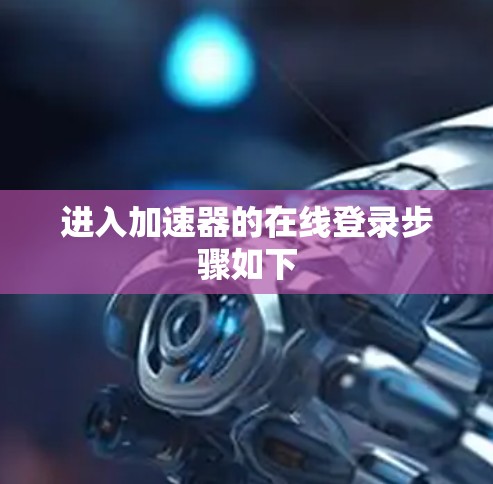 进入加速器的在线登录步骤如下