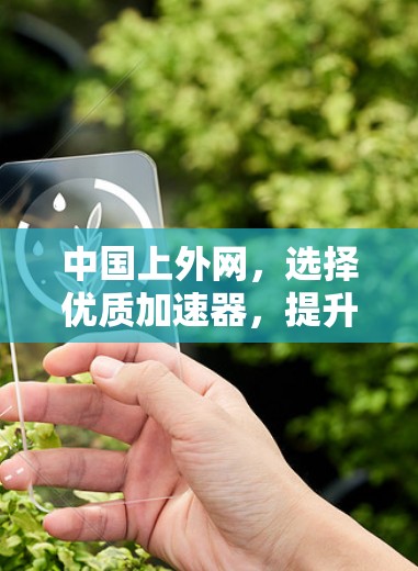 中国上外网,选择优质加速器,提升网络体验