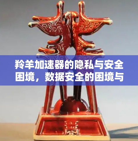 羚羊加速器的隐私与安全困境，数据安全的困境与解决方案