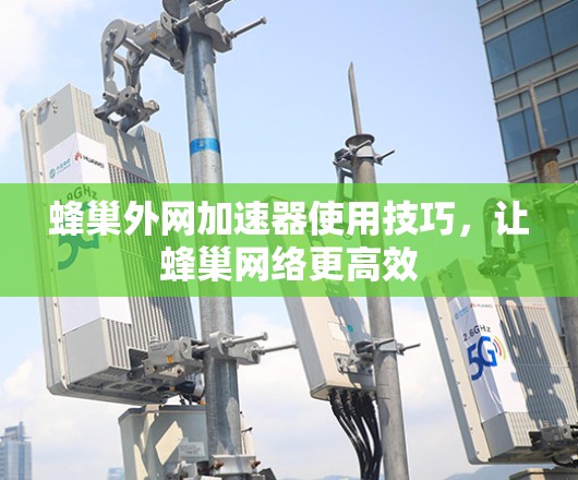 蜂巢外网加速器使用技巧，让蜂巢网络更高效