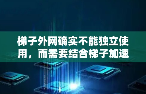 梯子外网确实不能独立使用，而需要结合梯子加速器和其他辅助设备来完成其功能。以下是对梯子外网的详细分析