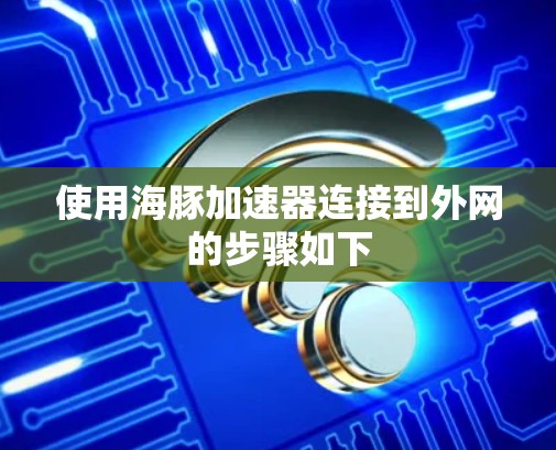 使用海豚加速器连接到外网的步骤如下 使用海豚加速器连接到外网的步骤如下