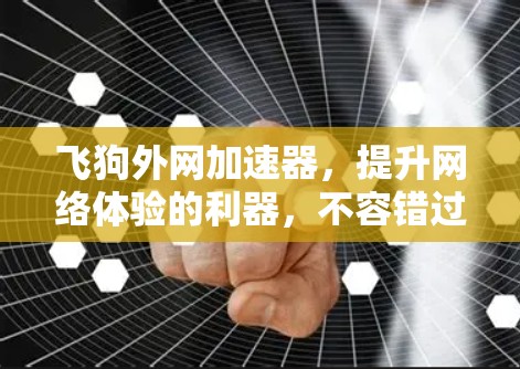 飞狗外网加速器,提升网络体验的利器,不容错过! 飞狗外网加速器,提升网络体验的利器,不容错过!