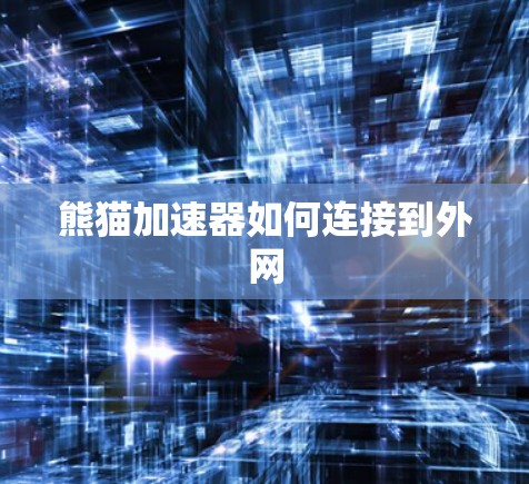 熊猫加速器如何连接到外网