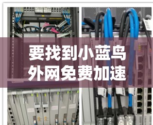 要找到小蓝鸟外网免费加速器,可以按照以下步骤进行