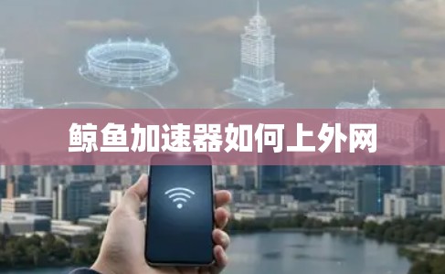 鲸鱼加速器如何上外网