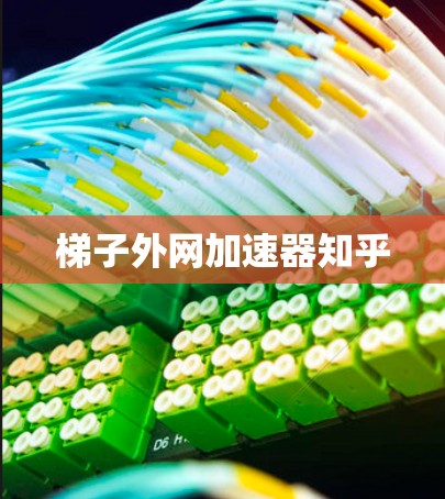 梯子外网加速器知乎