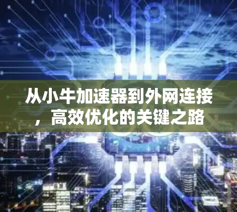 从小牛加速器到外网连接，高效优化的关键之路
