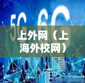 上外网（上海外校网）的加速器可以帮助您更快地访问上外网的资源，但需要注意以下几点