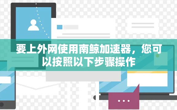 要上外网使用南鲸加速器，您可以按照以下步骤操作