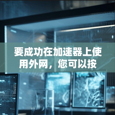 要成功在加速器上使用外网，您可以按照以下步骤操作