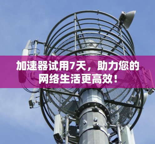 加速器试用7天，助力您的网络生活更高效！