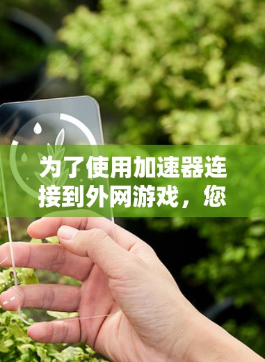 为了使用加速器连接到外网游戏，您可以按照以下步骤操作