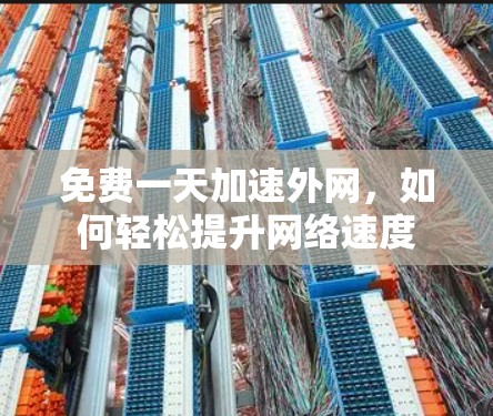 免费一天加速外网，如何轻松提升网络速度