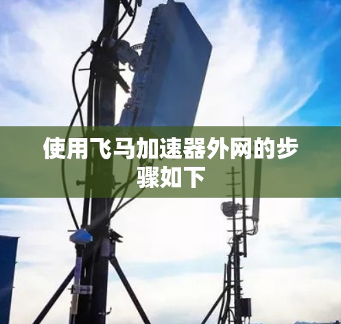 使用飞马加速器外网的步骤如下