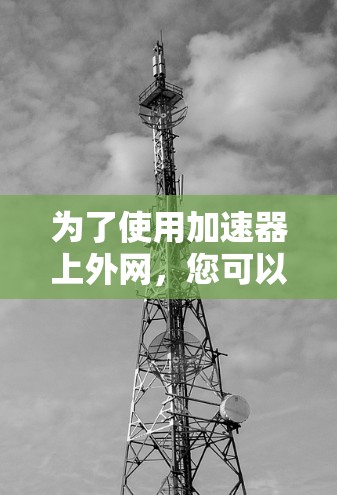 为了使用加速器上外网，您可以按照以下步骤操作