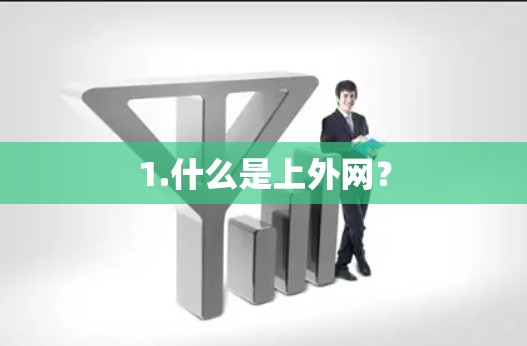 1.什么是上外网？