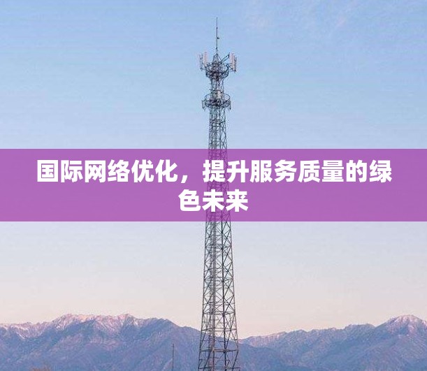 国际网络优化，提升服务质量的绿色未来