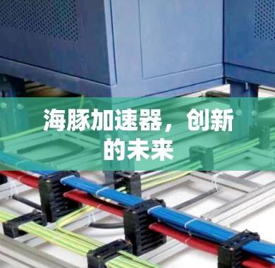 海豚加速器，创新的未来