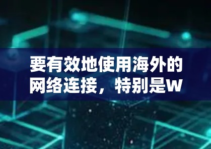 要有效地使用海外的网络连接，特别是Wi-Fi和移动数据，可以按照以下步骤进行