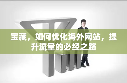 宝藏，如何优化海外网站，提升流量的必经之路