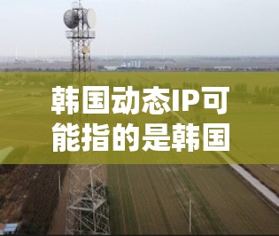韩国动态IP可能指的是韩国地区的动态IP地址，或者是指特定的网络服务中的动态IP。以下是一些可能涉及的含义和信息