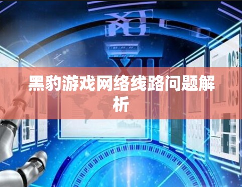 黑豹游戏网络线路问题解析