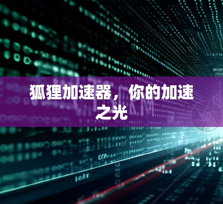 狐狸加速器，你的加速之光