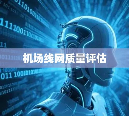 机场线网质量评估 机场线网质量评估