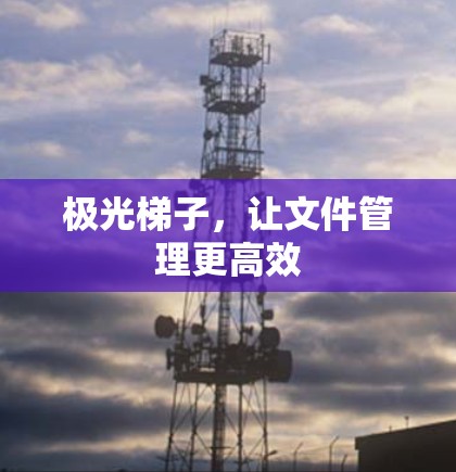 极光梯子,让文件管理更高效