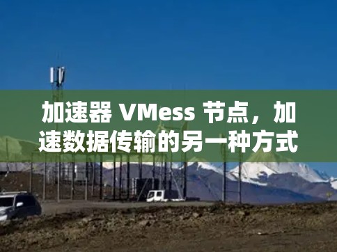 加速器 VMess 节点,加速数据传输的另一种方式