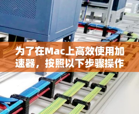 为了在Mac上高效使用加速器，按照以下步骤操作