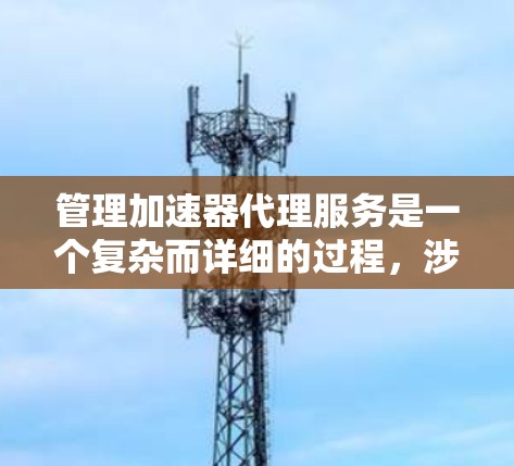 管理加速器代理服务是一个复杂而详细的过程，涉及多个方面。以下是对该问题的分步解答