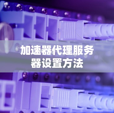加速器代理服务器设置方法