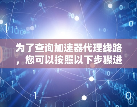为了查询加速器代理线路，您可以按照以下步骤进行