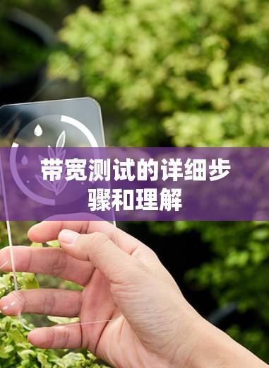 带宽测试的详细步骤和理解